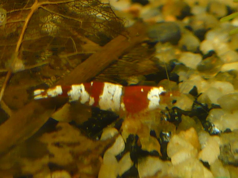 P1010352.JPG