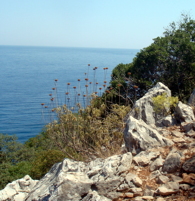   кемер 2009 108.jpg