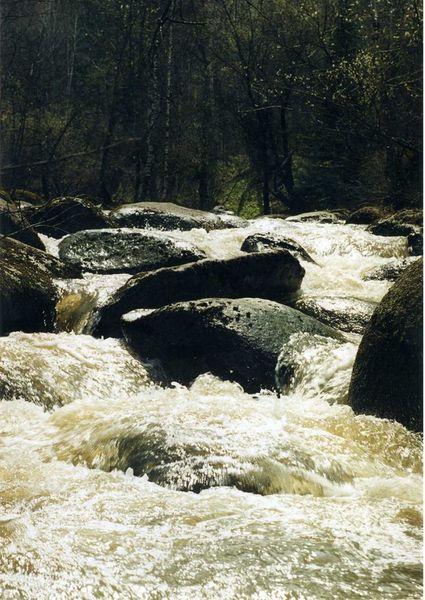 img018.jpg