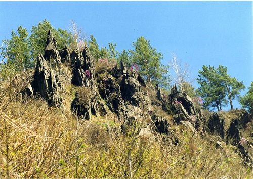 img017.jpg