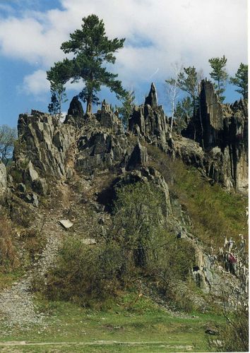 img016.jpg