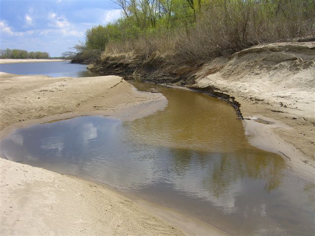  Волга, апрель эCIMG1249.JPG