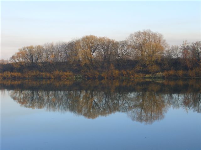 . Ока, район Костино, осень CIMG0934.JPG