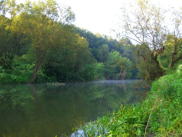.Осетр, июль CIMG0685.JPG
