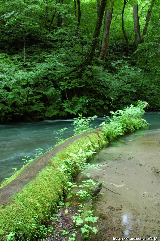 oirase06_l.jpg