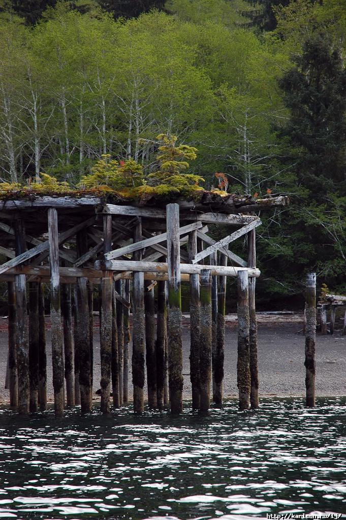 logging_town_railway_l.jpg