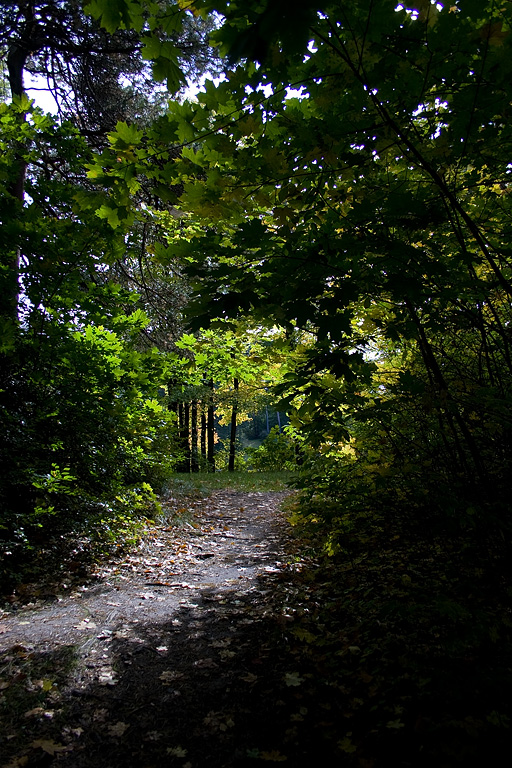 CRW_0033.jpg