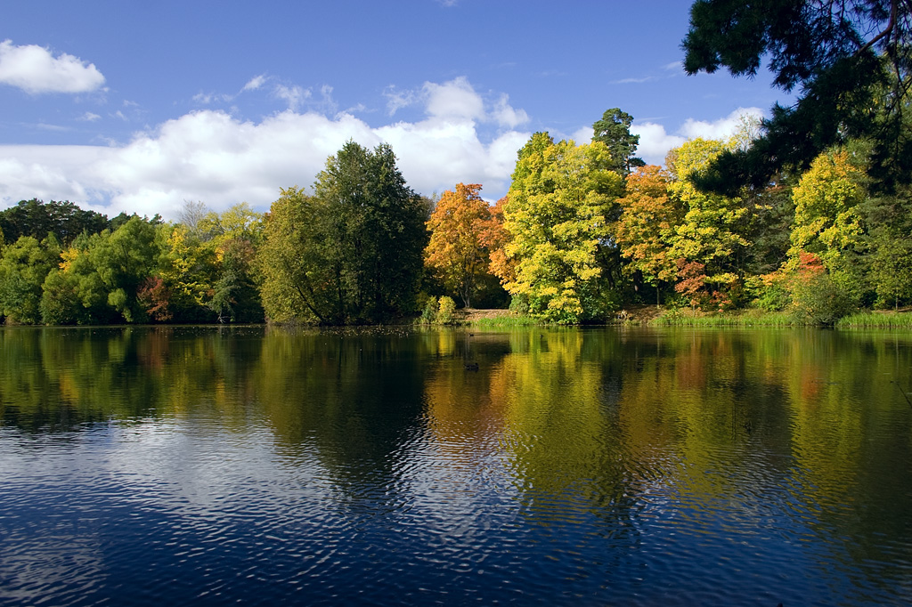 CRW_0044.jpg
