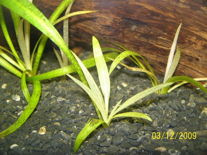 100_5402.JPG