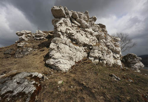_А5К0495-1.jpg