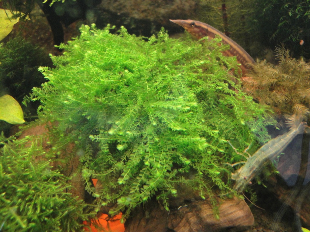 DSC02577_.jpg