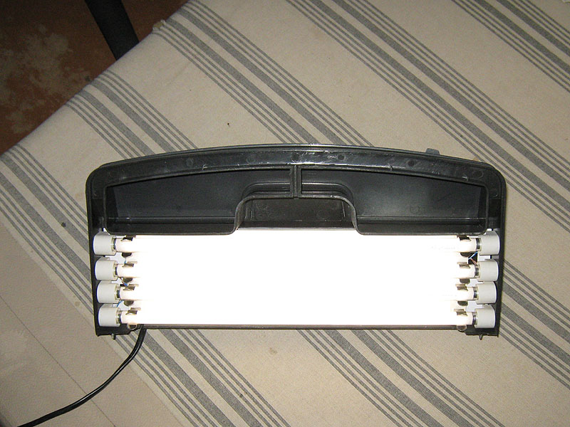R338ups!.JPG
