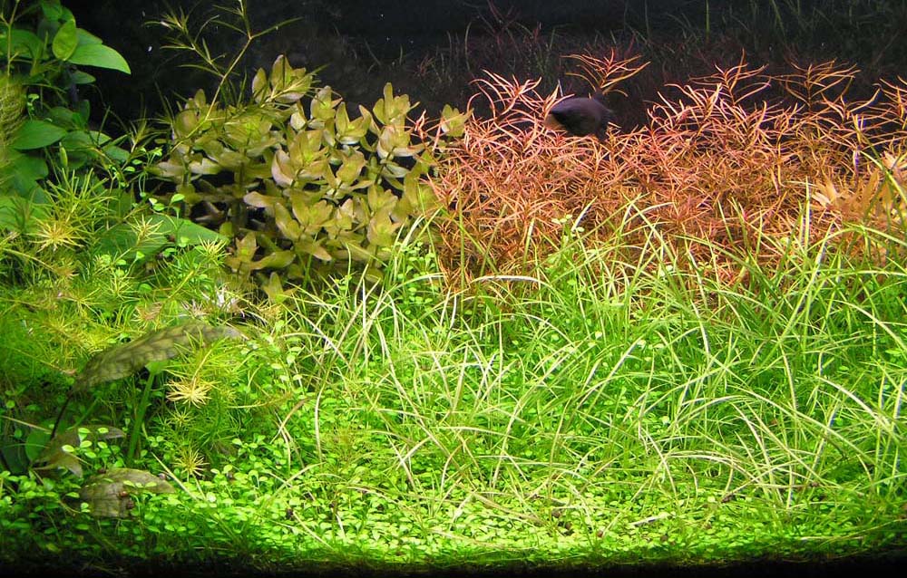 pic3.jpg