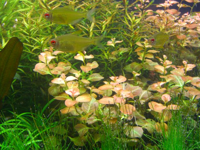  2005 5488.jpg