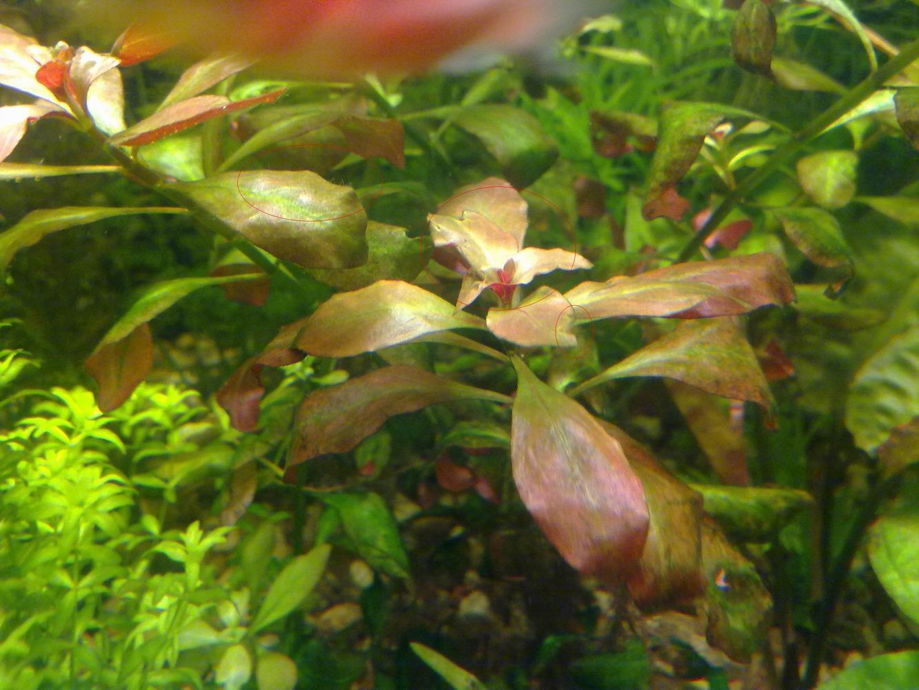 Resize of 5.jpg