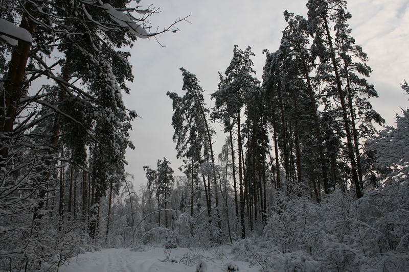 IMG_9314.jpg