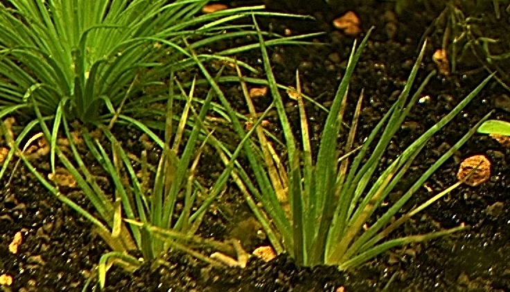 CRW_3009.jpg