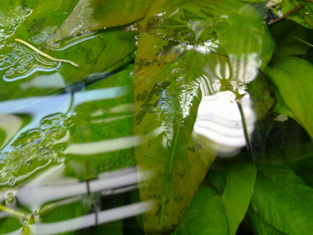 Resize of 21022011614.jpg