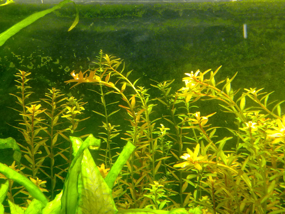11012011429.jpg