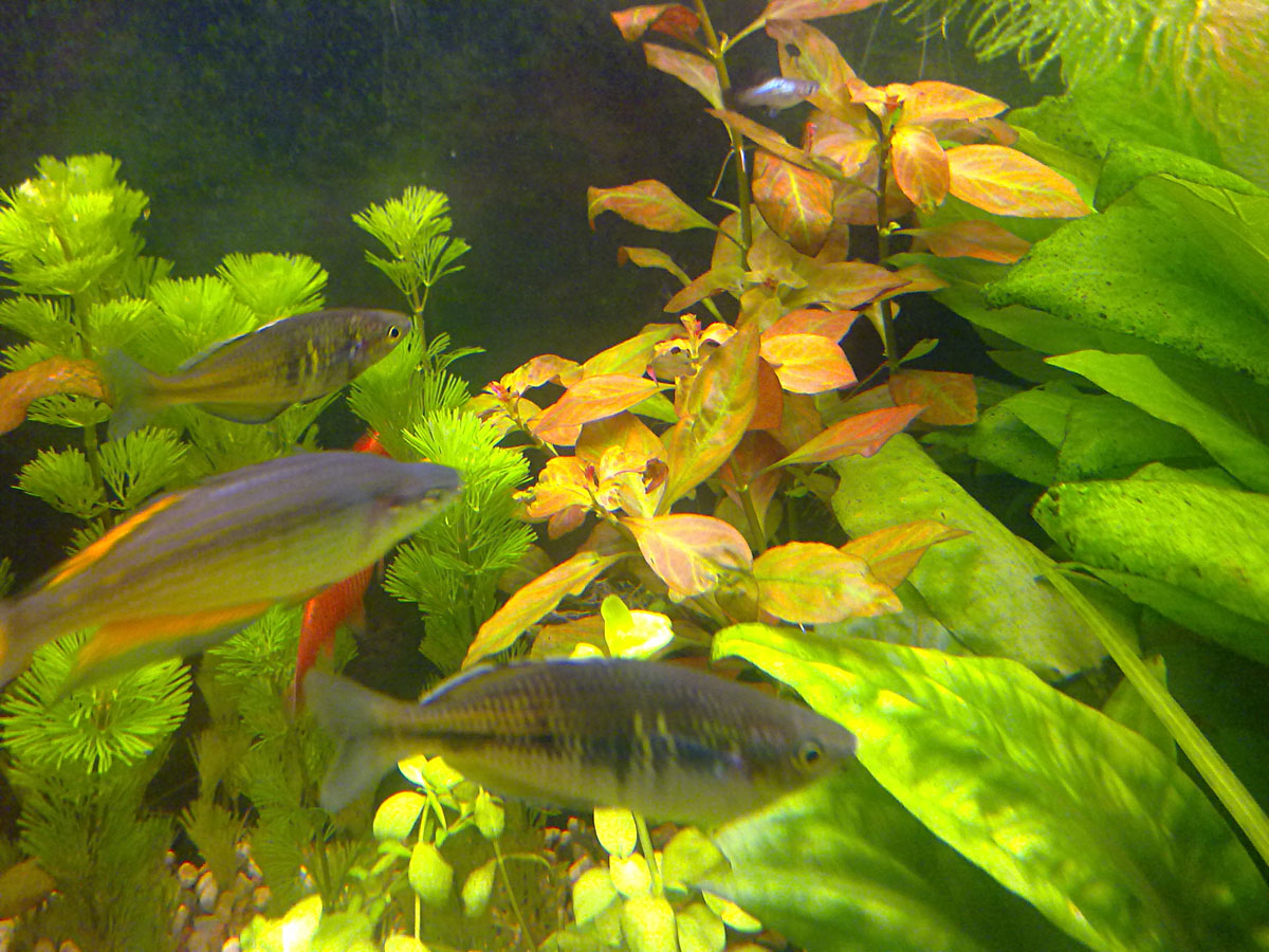 10042011704.jpg