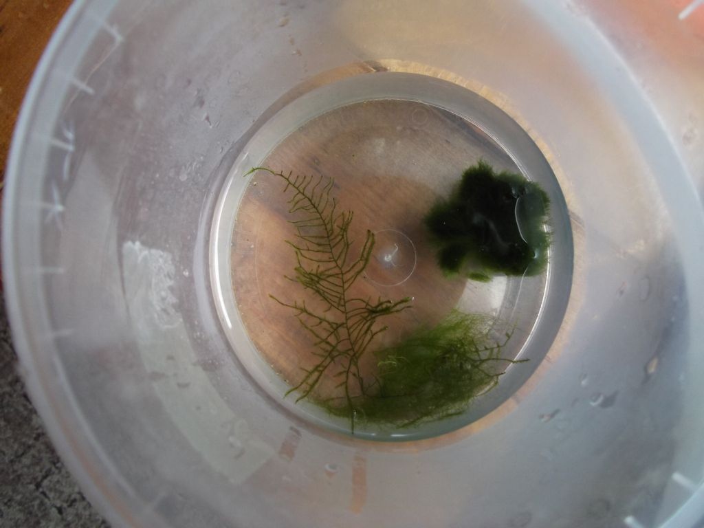 DSCF2051.jpg