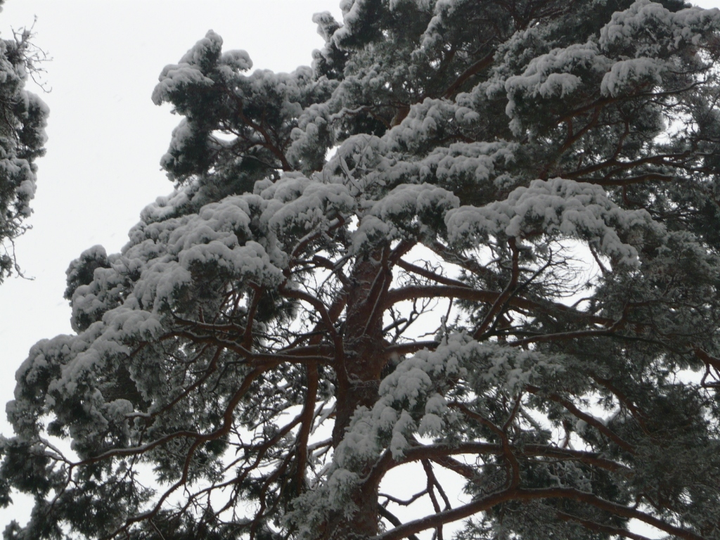 P1050624.JPG