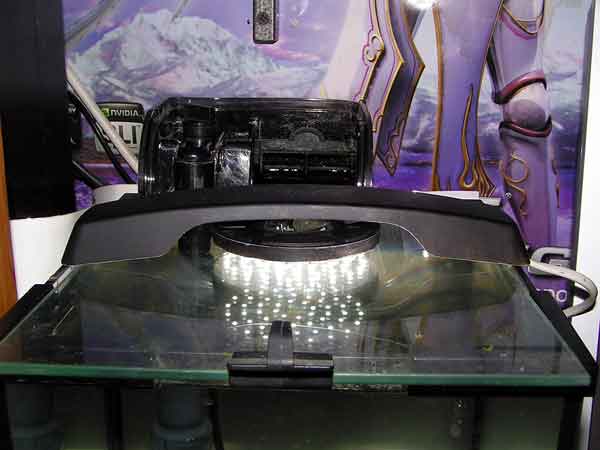 PICT0015.jpg