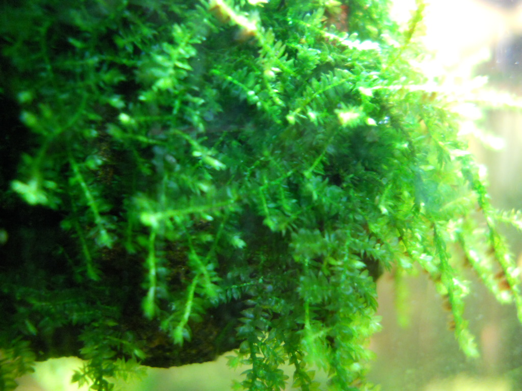 DSCN0856.JPG